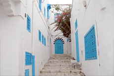 Tunis (La Goulette) Private Tour cruise excursion